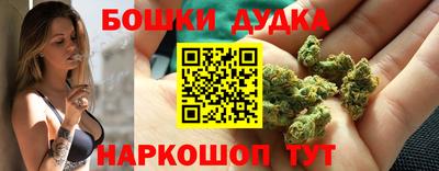 apvp Беслан