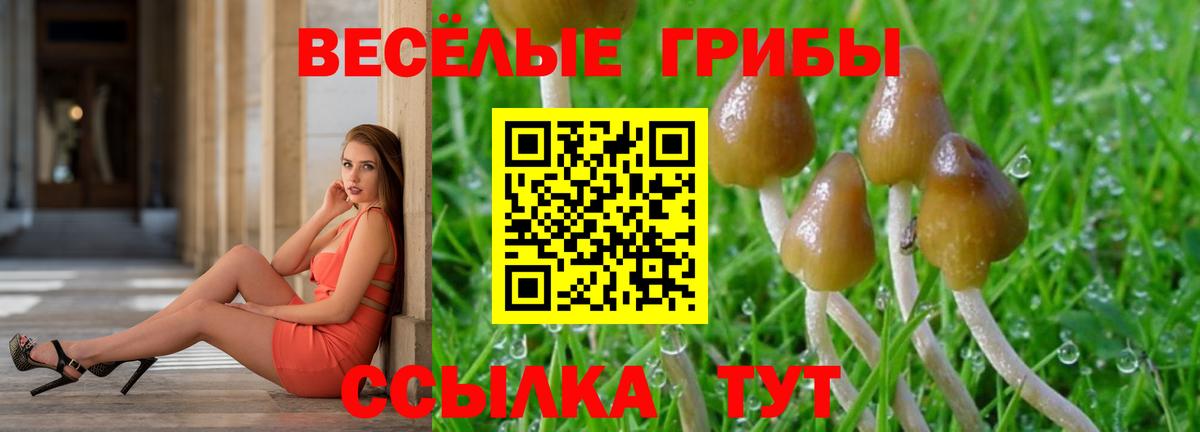 ТГК Берёзовский