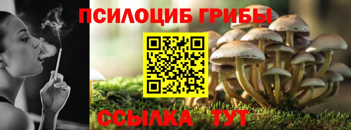 Берёзовский  Галлюциногенные грибы Psilocybine cubensis  Вход с VPN 