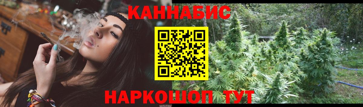Канабис OG Kush Берёзовский